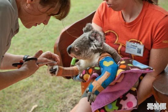 你能在《畸形动物园》中生存并揭开真相吗? 你能在《畸形动物园》中生存并揭开真相吗?