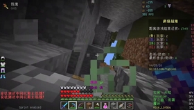 听说过《我的世界1.14》吗？这个历久弥新的版本如何让全球玩家痴迷？