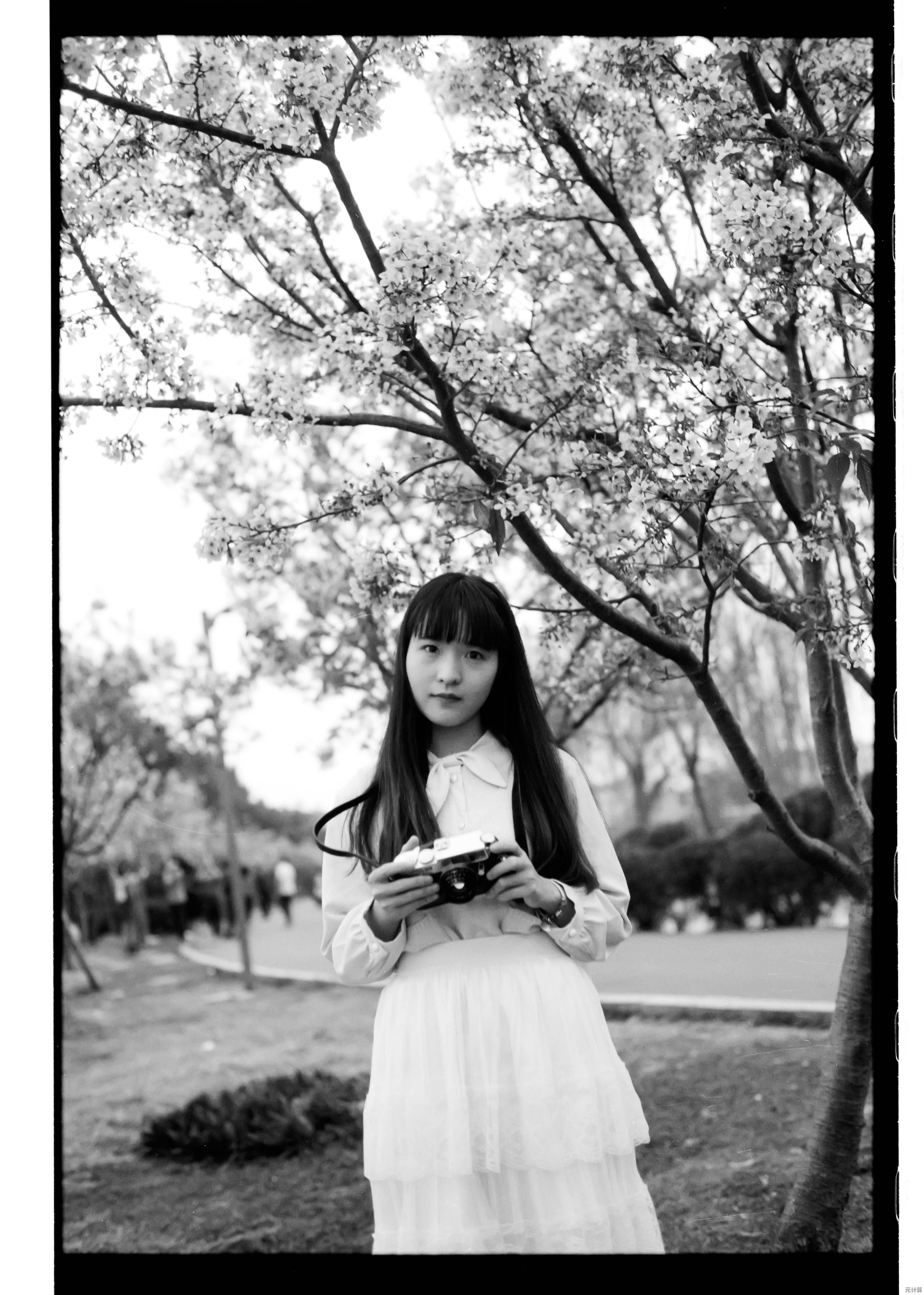 渴望成为精灵训练大师？口袋妖怪黑白汉化版》你下载了吗？