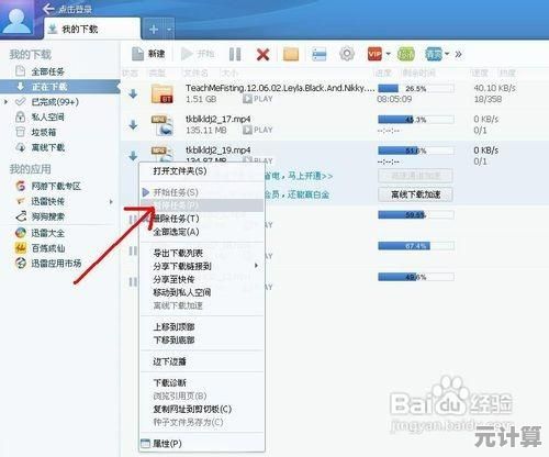 迅雷磁力下载高效技巧：提升资源获取速度的实用方法分享