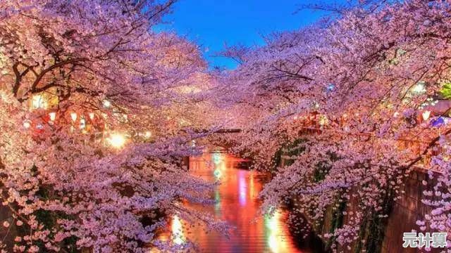 想体验自由高中生活？樱花校园高校日记》的3D校园冒险你怎能错过？