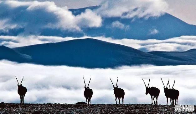 射击新手也想体验萤火突击国际服？靶场练枪后再战禁区，你敢来挑战吗？