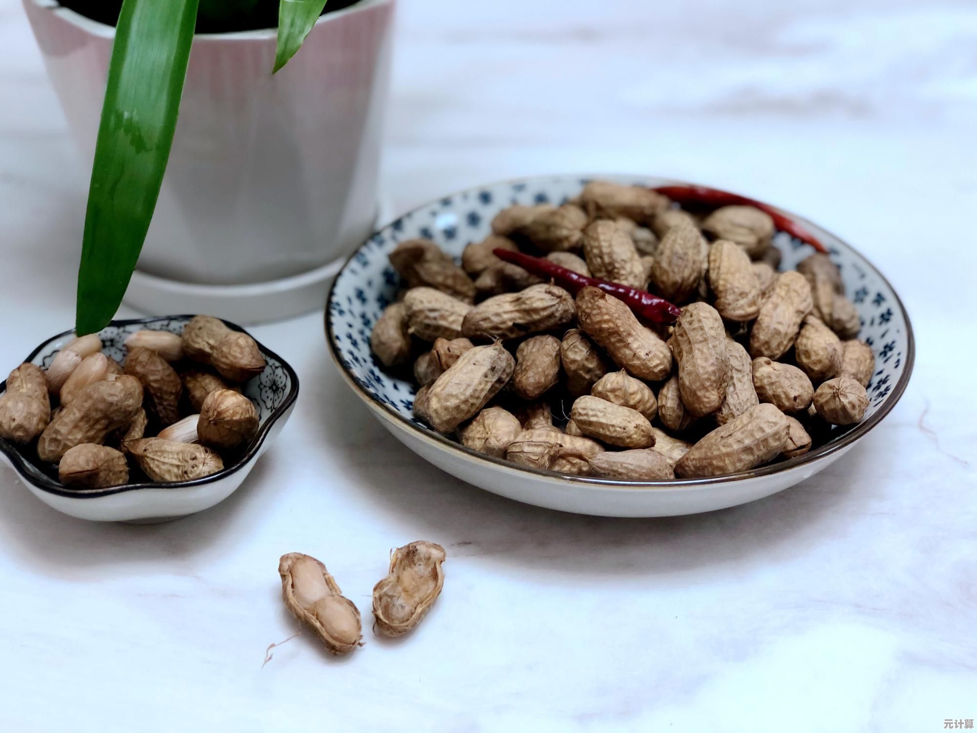 解密落花生：深入种植与加工过程，品味自然营养与健康美味