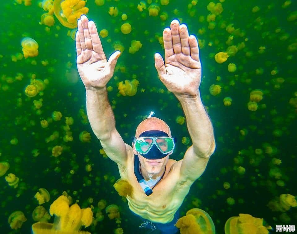 小鱼教您快速解决电脑无声问题,轻松恢复声音播放 小鱼教您快速解决电脑无声问题,轻松恢复声音播放