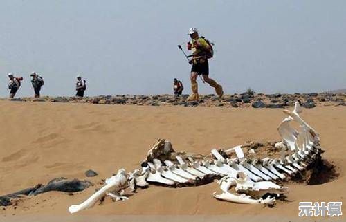 还在犹豫玩什么？我的世界1.20》的沙漠探索与考古玩法不香吗？