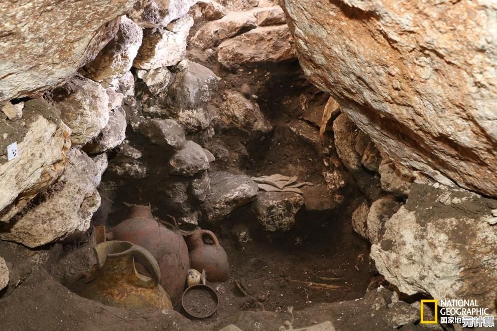 想要体验更真实的口袋妖怪世界？口袋妖怪启示录修复版》的隐藏秘密你解开了吗？