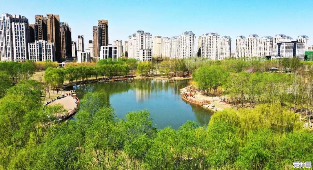 Windows 11专属软件资源整合：稳定运行与功能优化的完美搭配