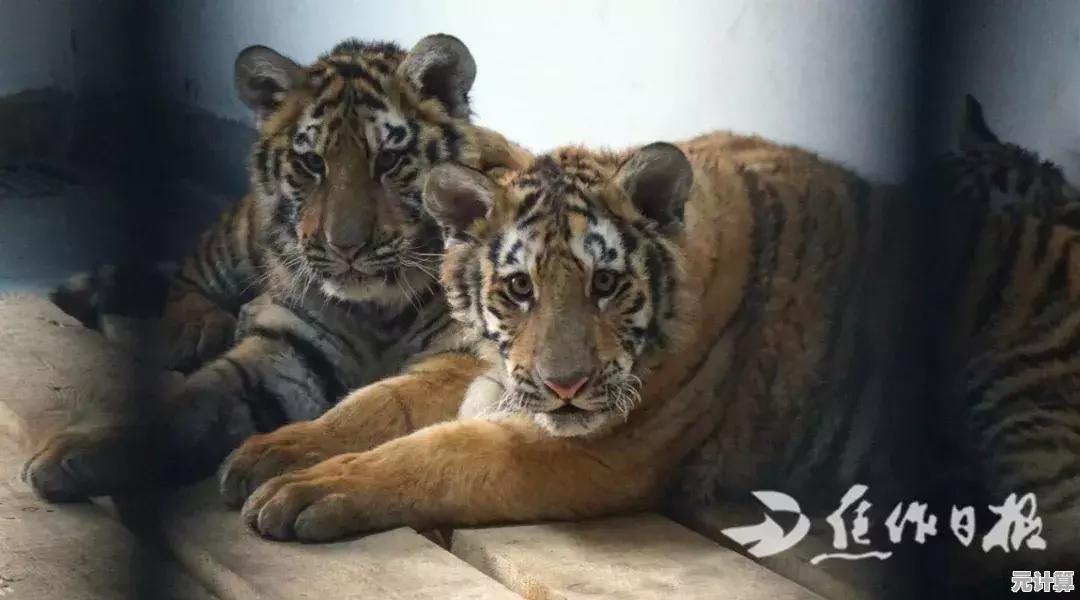 想体验治愈系农场生活？角落萌宠农场中文版》不容错过！