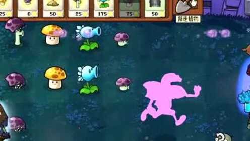 胆小菇也能carry全场?快来挑战《植物大战僵尸胆小菇之梦手机版》全新机制! 胆小菇也能carry全场?快来挑战《植物大战僵尸胆小菇之梦手机版》全新机制!