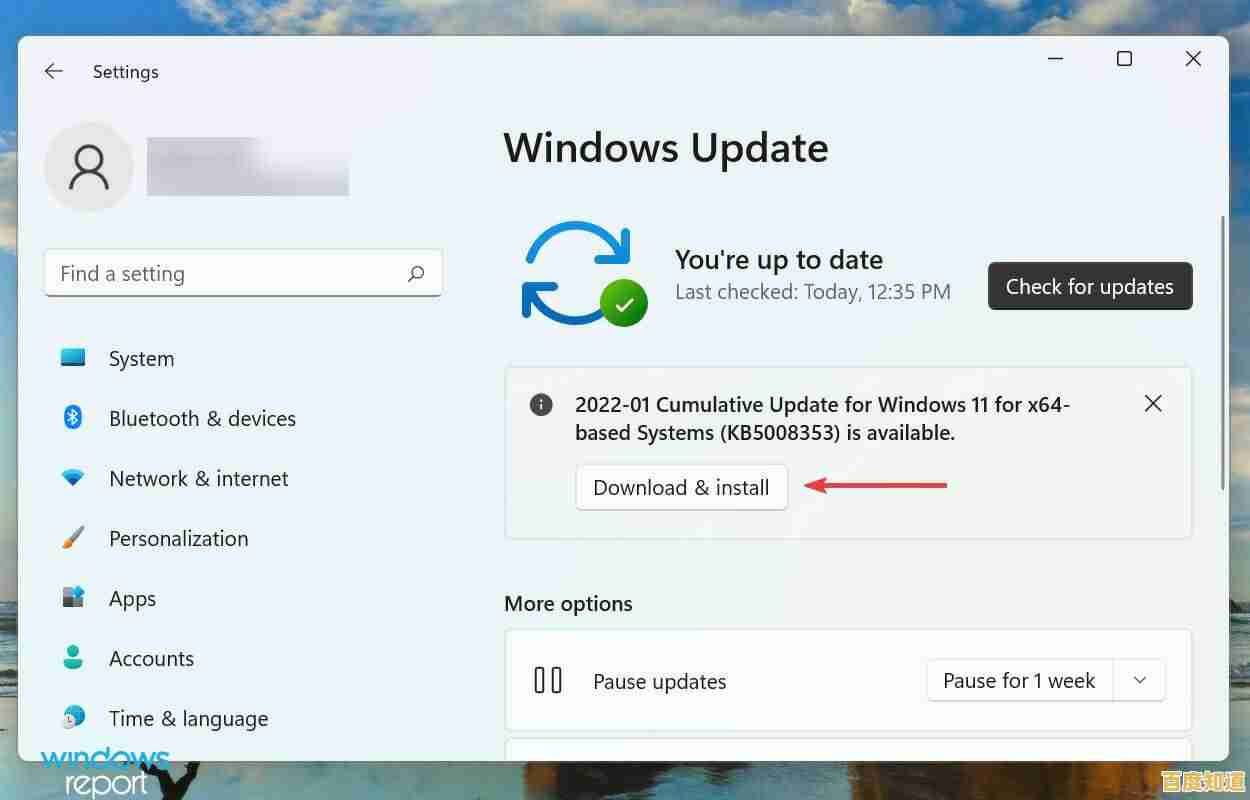 Windows 11系统项目复选框功能异常，试试这些解决方法