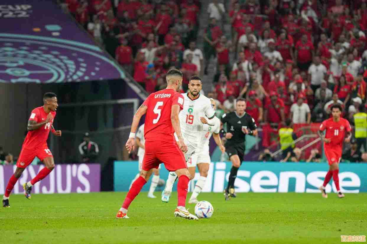 还在找一款能组建自己球队的足球游戏?实战十一人游戏》带你圆梦! 还在找一款能组建自己球队的足球游戏?实战十一人游戏》带你圆梦!