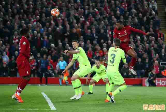 完善武器系统+爽快养成,不试试《神兵大师》吗? 完善武器系统+爽快养成,不试试《神兵大师》吗?