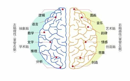 探索手机操作系统的奥秘:如何成为智能设备性能与体验的中枢 探索手机操作系统的奥秘:如何成为智能设备性能与体验的中枢