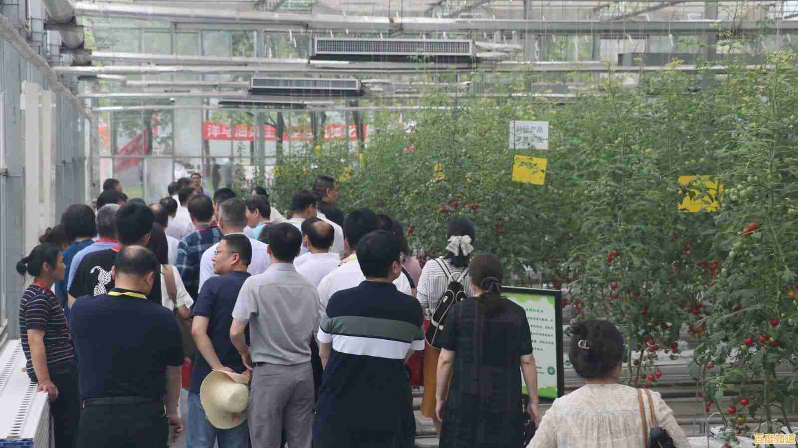 【qq农场论坛】分享高效种植技巧,探讨农业科技应用与创新 【qq农场论坛】分享高效种植技巧,探讨农业科技应用与创新
