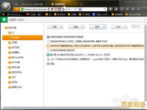 2025年猎豹浏览器实用指南：高效优化设置让上网更流畅便捷