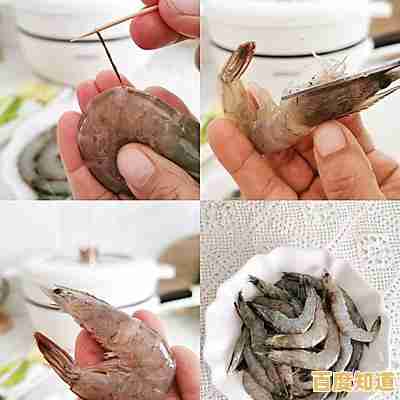 快手下载全攻略：新手轻松上手的详细步骤解析