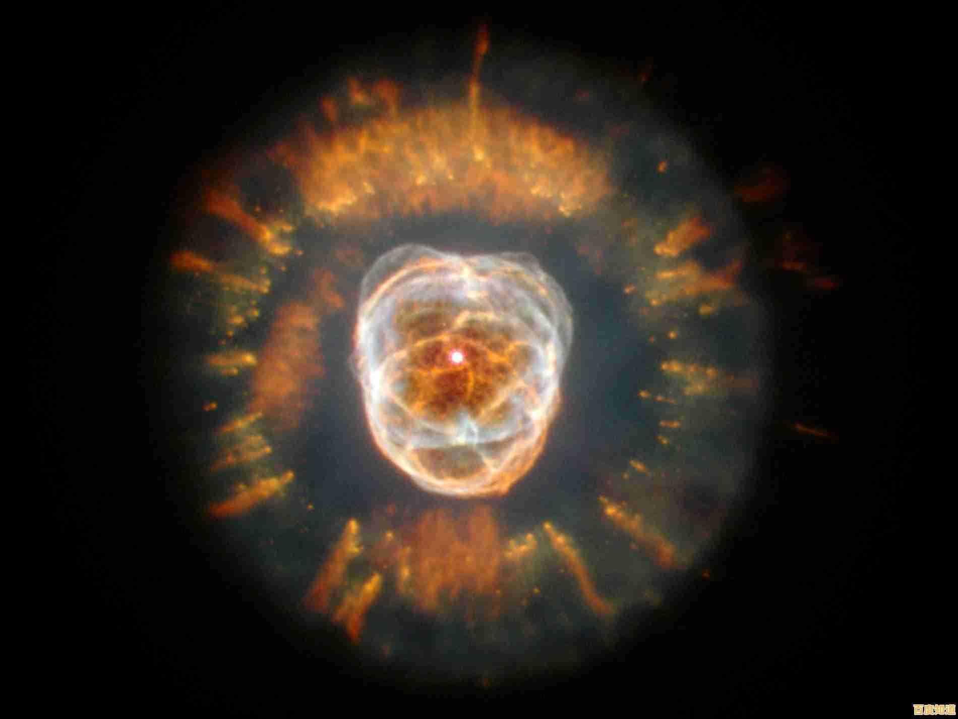 还在寻找有趣的模拟经营手游?可口的披萨美味的披萨国际服"不来体验一下吗? 还在寻找有趣的模拟经营手游?可口的披萨美味的披萨国际服"不来体验一下吗?