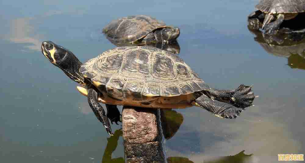 想亲手建造坚固基地并打造强力装备?打造世界最新版》合成系统满足你的创意! 想亲手建造坚固基地并打造强力装备?打造世界最新版》合成系统满足你的创意!