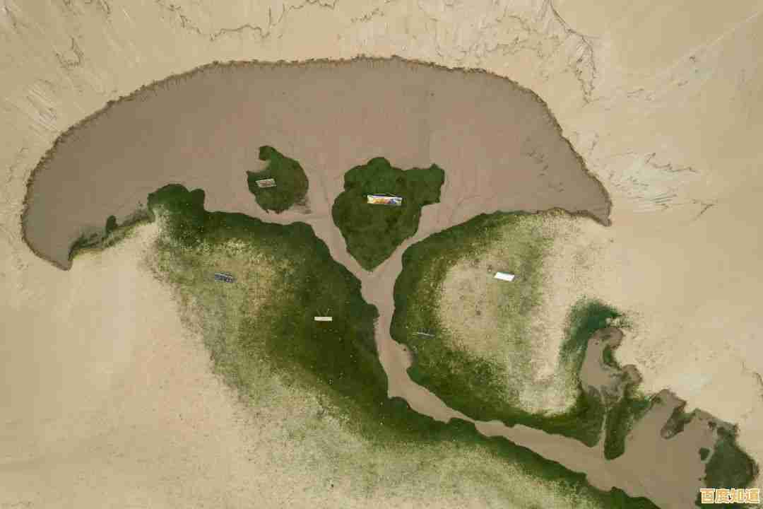 《荒野乱斗彩虹服》自带无限金币钻石，这还不快来体验卡通英雄大战？