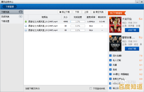 迅雷电影下载详细步骤解析,高效获取优质内容不踩雷