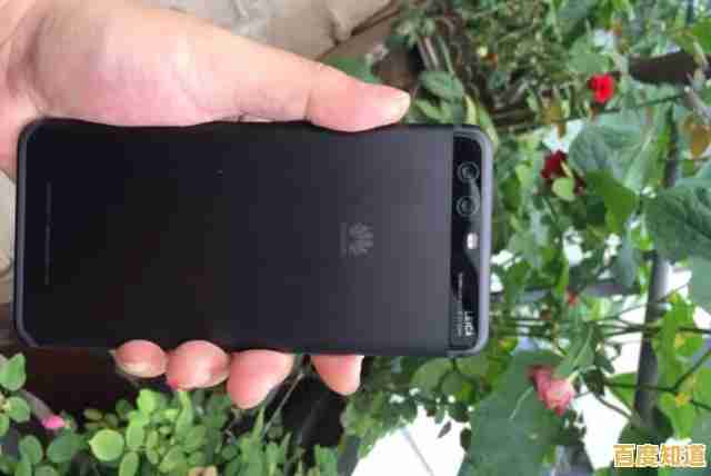 硬盘天梯图引领存储革命：解锁数字时代的无限存储可能性