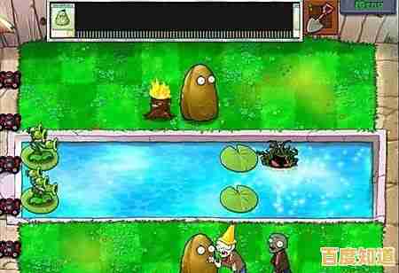 植物大战僵尸年度加强版"新植物新玩法，你的策略能否抵挡僵尸大军？