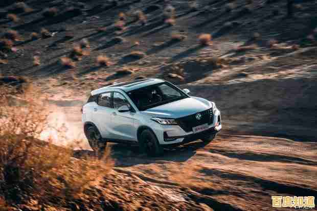 探索PS的多重含义：功能、用途及行业应用全解析