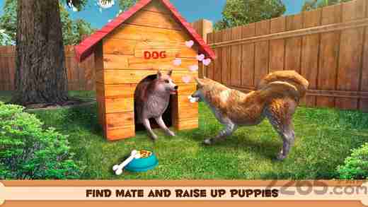 还在找无需网络的萌宠游戏?会说话的狗狗本单机版》不试试吗?