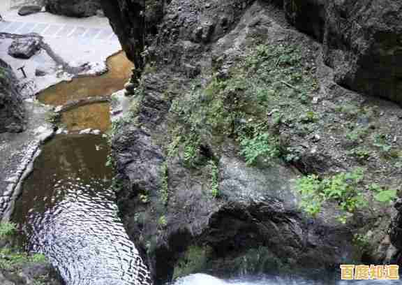 内存天梯图全解析：如何根据价格挑选高性价比内存条