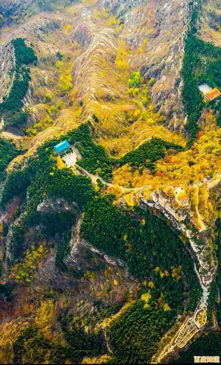 内存天梯图全解析:如何根据价格挑选高性价比内存条