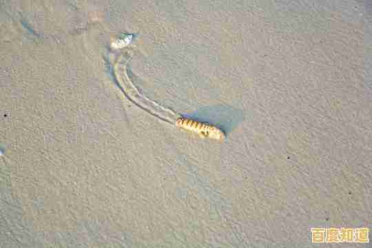 难道你不想体验躲沙虫(Sandworms)带来的放松与快乐吗？