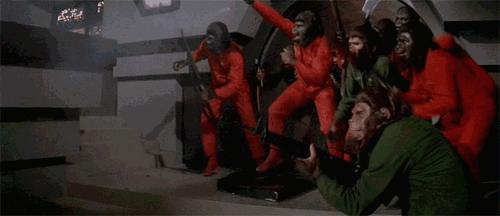 既能生产苦力又得保护堡垒，这么萌的《猫狗大战》你玩过没？