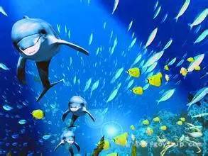 畅游视频海洋,共赴一场精彩纷呈的影视盛宴之旅! 畅游视频海洋,共赴一场精彩纷呈的影视盛宴之旅!