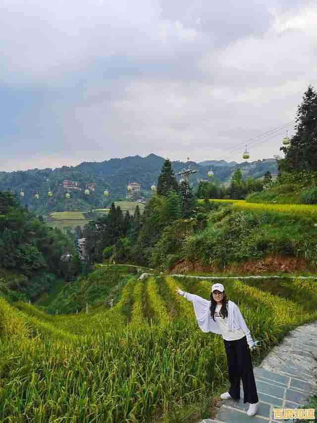 2022年全新移动显卡性能天梯图发布，笔记本显卡排行一网打尽！