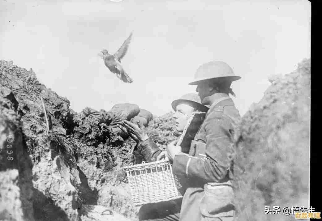 1917战壕战最新版：难道你不想体验这款像素风战争策略游戏的刺激指挥生涯？