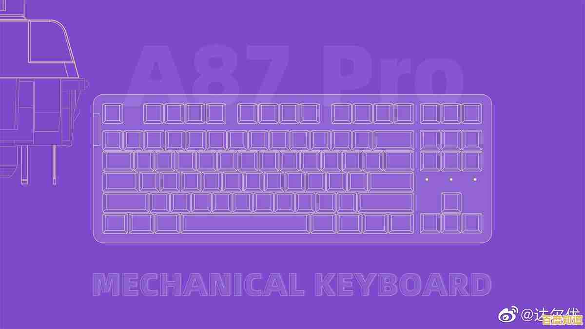 全面剖析机械键盘轴体：不同轴型的手感特点与性能区别详解