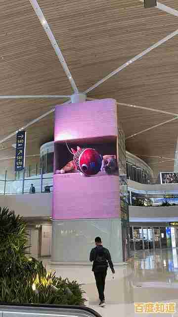 电视猫视频：畅享高清画质与沉浸式音效的视听盛宴