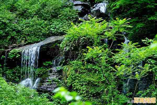 宝藏还是陷阱?逃离幽暗密林》的开放式解谜让你每一秒都心跳过载! 宝藏还是陷阱?逃离幽暗密林》的开放式解谜让你每一秒都心跳过载!