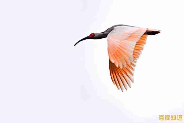 掌握PS羽化技巧，让你的照片化身仙鹤，展现空灵羽化之美！