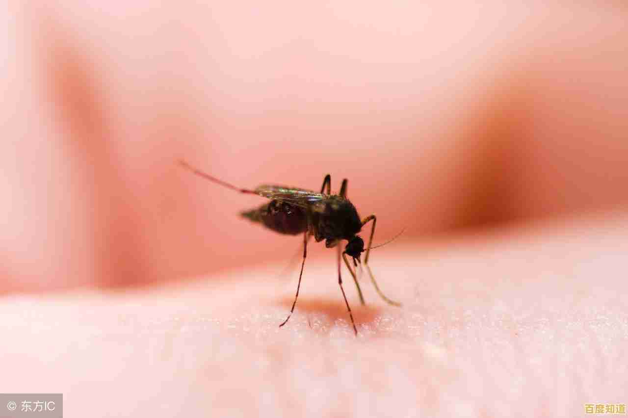 想重温经典?空当接龙经典免费版》等你来挑战! 想重温经典?空当接龙经典免费版》等你来挑战!