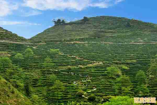 2022硬盘天梯图权威发布：一图看懂主流硬盘性能与市场动态！